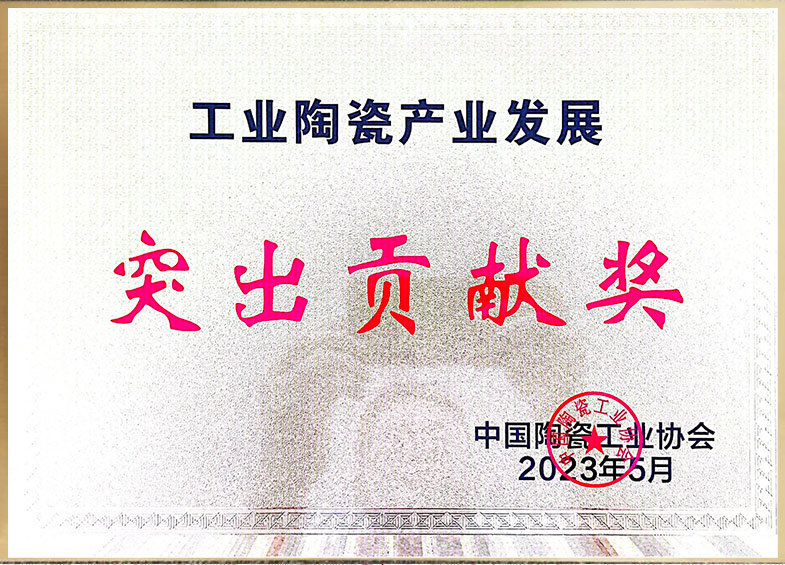 工業(yè)陶瓷產(chǎn)業(yè)發(fā)展突出貢獻(xiàn)獎