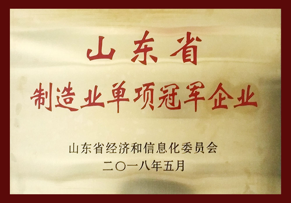 山東省制造業(yè)單項冠軍企業(yè)